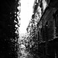 Rainy 15