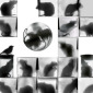 Escape (Positive Side Rat Containment Grid ⌗52)