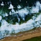 sea sand flora .2