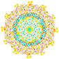 The Crown Chakra Disorder