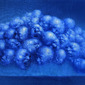 Chromosome - Blue