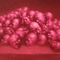 Chromosome - Red