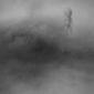 mucous-secrete the thing -31