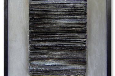 Collection The nature of wonder; created by Matthew Quain