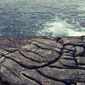 Shaun Lowe