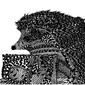 The Thoughtful Hedgehog