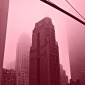 New York City RED