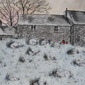 'First Frost in the Garden of Boulders'