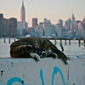 Chilling Fur