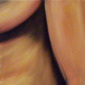 Torso