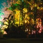 Beyond The Trees