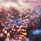 Divine Celebration