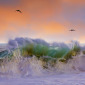 Shore Break