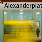 Leaving Alex