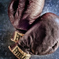 The Boxer