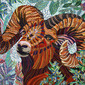 Aries