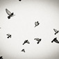 Flight Pattern #2