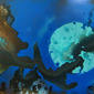 Luna y Agua
