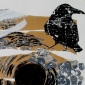 Torn Crow