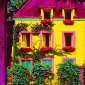 French Garden