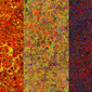 0445 Abstract Thought