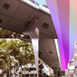 Overpass Pink