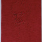 PORTRAIT UNTITLED