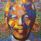 mandela - 2011 