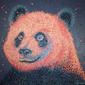 Panda's Are Most Active at Twilight and Noon