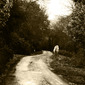 Autumn in the New Forest 7.0