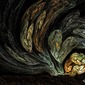 The Ghosts of Prometheus