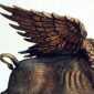 Boar