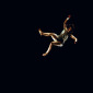 Falling Bodies (1)
