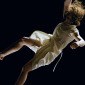 Falling Bodies (83)