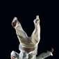 Falling Bodies (3)