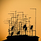 City rooftops, Catania