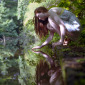 Reflection