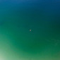 Tiny