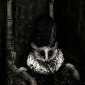 Lemur Pius Decimus