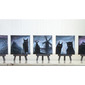 twilight series: breaking dawn