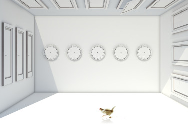 Collection Multidimensional Reality; created by Marco Battaglini