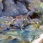 Bathers on the Rocks