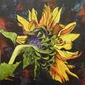 "Sunflower" Sunny Disposition
