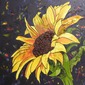 "Sunflower" Sunshine