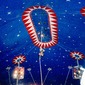 Stars & Stripes