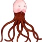Beard Octopus
