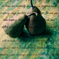 Pears