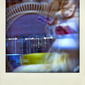 Lili polaroid