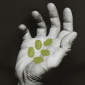 The WORLD in YOUR HANDS