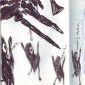 blackbook 27 (3)